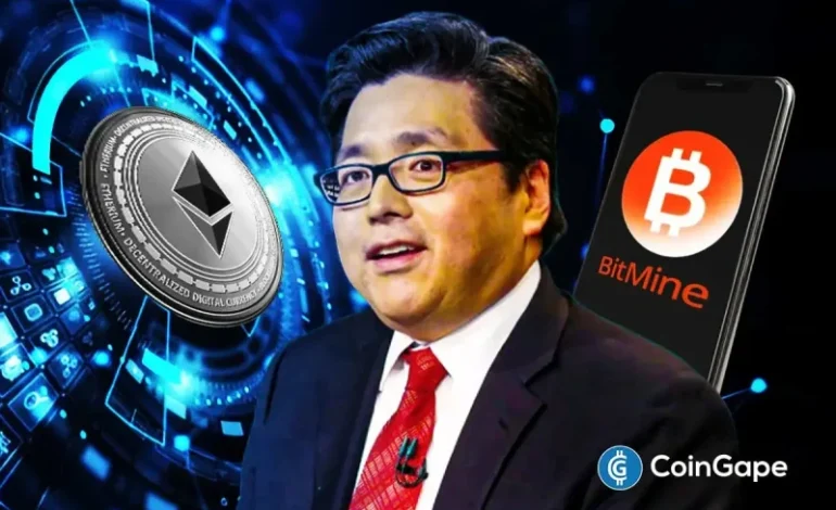  Tom Lee Warns BTC Drop Is From Market Maker Hole, Says ETH Trend Unchanged