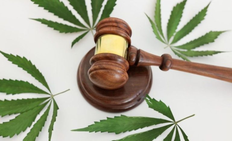  Hemp THC Recriminalization: A Blow to a Blooming Industry