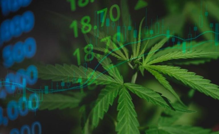  Cannabis Market 2025 Year-End Review
